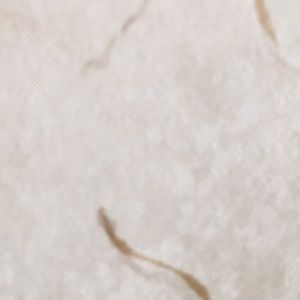 Meet your Posher, Nelly